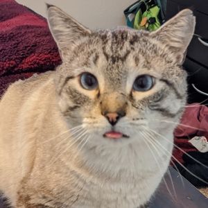 Meet your Posher, Anthony